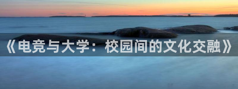 南宫电竞贴吧