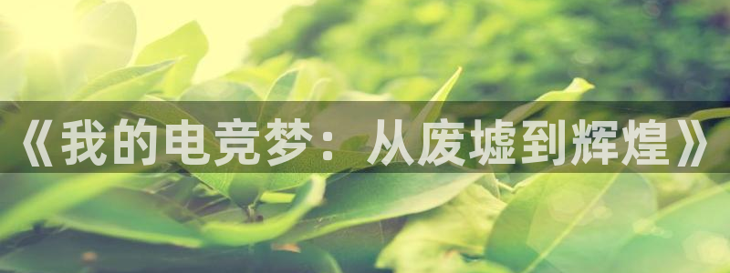 南宫电竞注册：《我的电竞梦：从废墟到辉煌》