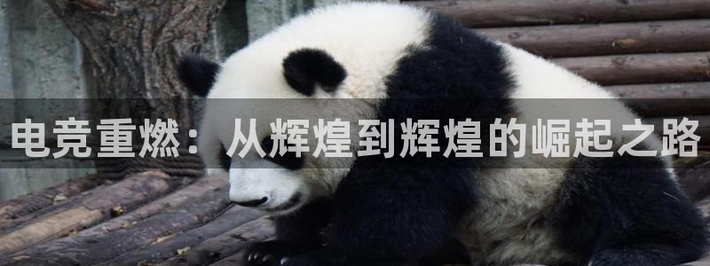 南宫电竞贴吧：电竞重燃：从辉煌到辉煌的崛起之路