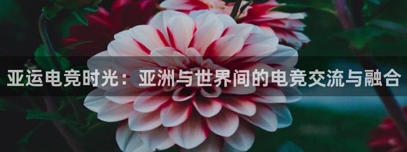 南宫电竞：亚运电竞时光：亚洲与世界间的电竞交流与融合