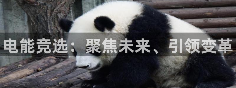 南宫电竞网：电能竞选：聚焦未来、引领变革
