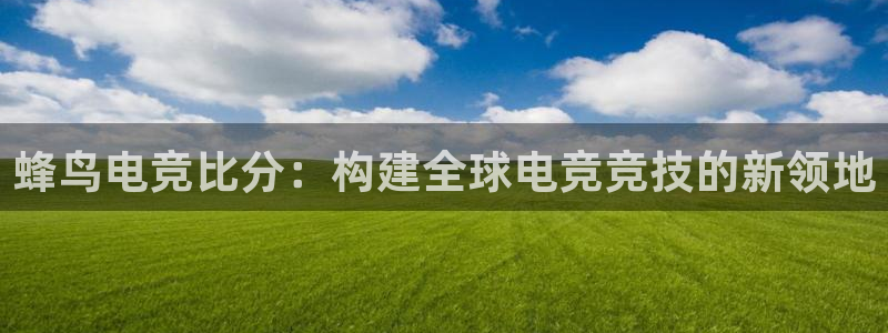 南宫电竞平台：蜂鸟电竞比分：构建全球电竞竞技的新领地