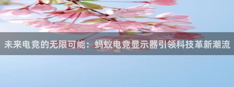 南宫电竞app：未来电竞的无限可能：蚂蚁电竞显示器引领科技革新潮流