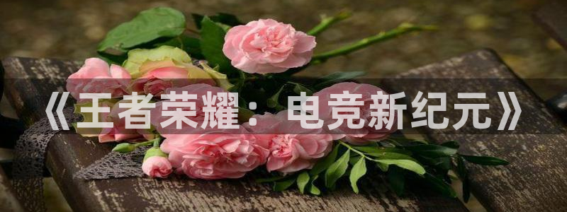 南宫电竞官网：《王者荣耀：电竞新纪元》