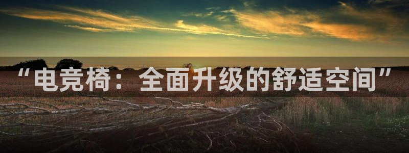 南宫电竞平台：“电竞椅：全面升级的舒适空间”