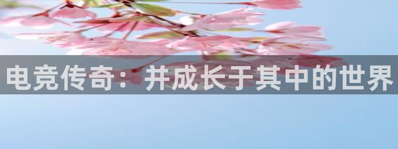 南宫电竞网