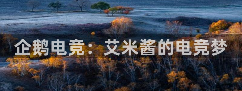 南宫电竞app