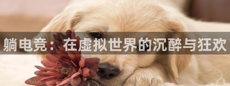 南宫电竞